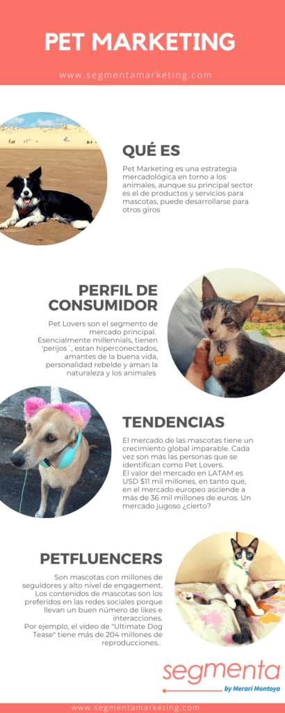 Pet marketing by Merari Montoya