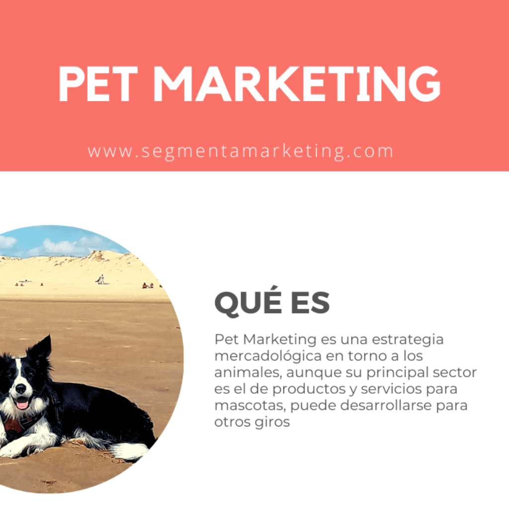 Pet Marketing: una tendencia global