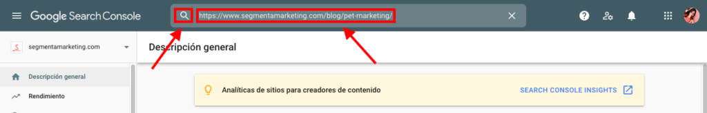 GSC Enviar una URL simple