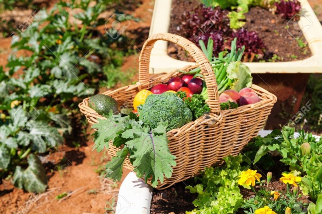 Marketing para productos agrícolas