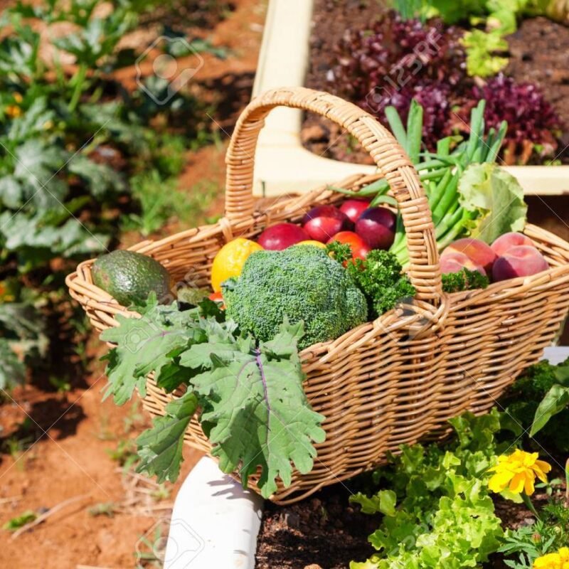 Marketing para productos agrícolas: cómo vender más y mejor en el mercado español